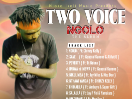 Two Voice-Ngolo The Album