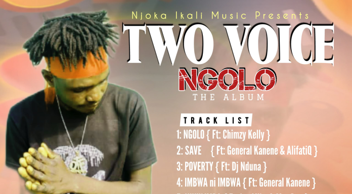 Two Voice-Ngolo The Album