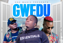 Philz Chibeta ft Vinchenzo X KD Giza-Gwedu(Prod By Amarue @Gnx)